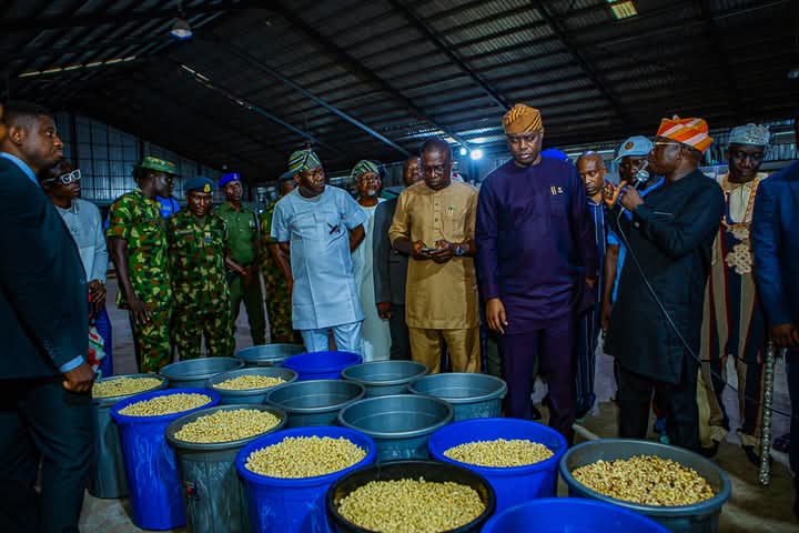 Agribusiness: Gov. Makinde, Debo Akande Visit Second Largest Cashew Processing Factory in Nigeria Situated in Lagelu LG